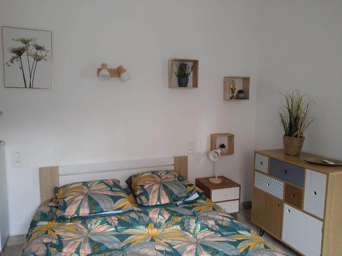 Appartement Spacieux Proche De La Mer Banyuls-sur-Mer Extérieur photo